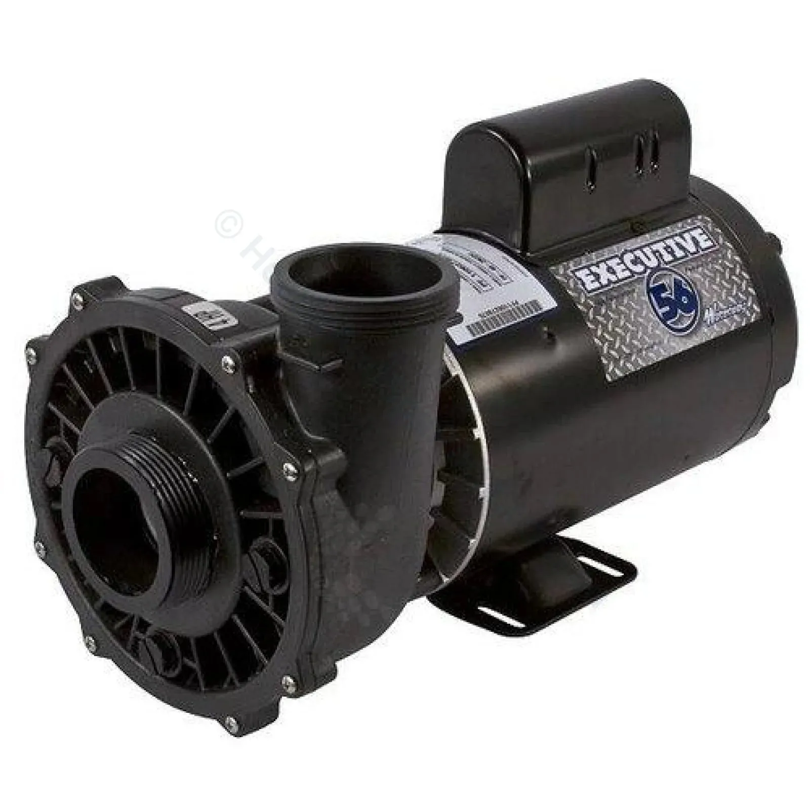 Executive 48 or 56 Spa Pump - Waterway - OBSOLETE