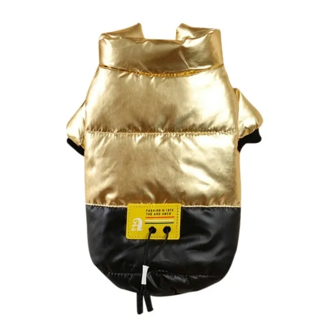 New Winter Chic Jacket for Pets