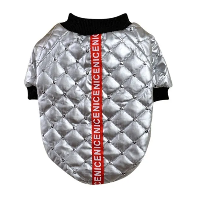 New Winter Chic Jacket for Pets