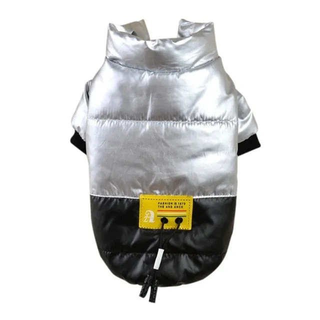 New Winter Chic Jacket for Pets