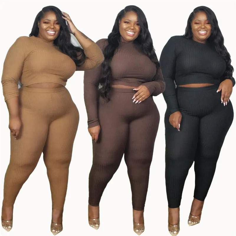 Plus Size Ribbed Long Sleeve Two Piece Set