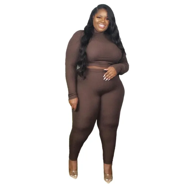 Plus Size Ribbed Long Sleeve Two Piece Set