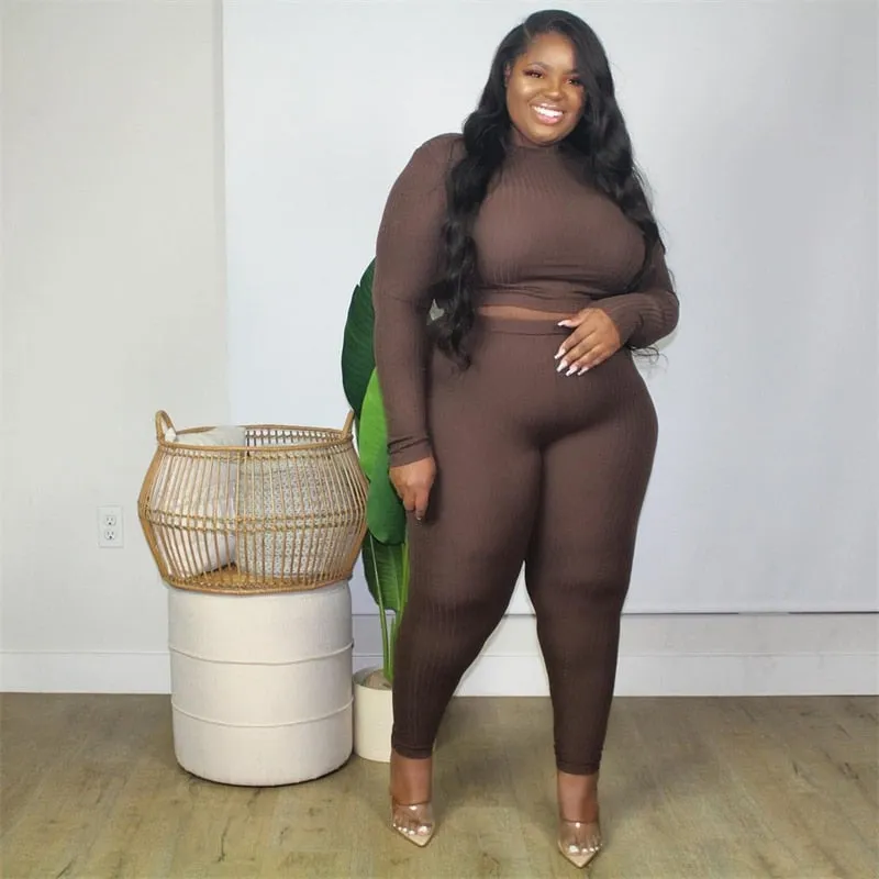 Plus Size Ribbed Long Sleeve Two Piece Set