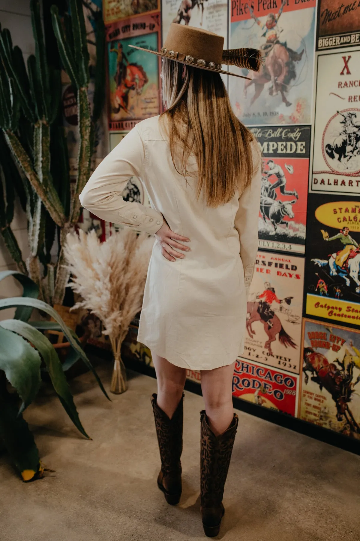 'Ryder' Wrangler Denim Snap Dress (S-XXL)