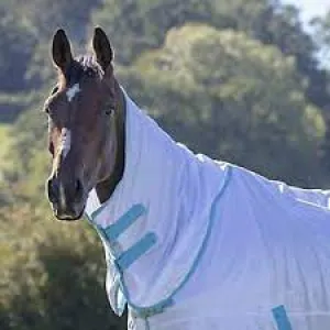 TK87680N-M-White Neck Cover- Tempest Fly Sheet